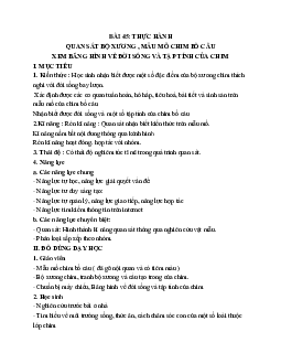 Giáo án Sinh học 7 Bài 45: Thực hành Xem băng hình về đời sống và tập tính của chim mới nhất