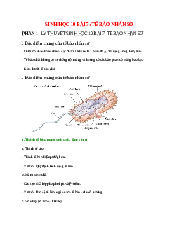 Sinh học 10 Bài 7 (Lý thuyết và trắc nghiệm): Tế bào nhân sơ