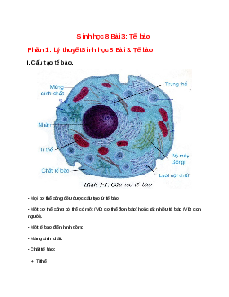 Lý thuyết Sinh học 8 Bài 3 (mới 2023 + 20 câu trắc nghiệm): Tế bào