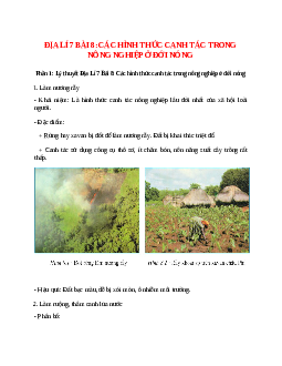 Địa Lí 7 Bài 8 (Lý thuyết và trắc nghiệm): Các hình thức canh tác trong nông nghiệp ở đới nóng