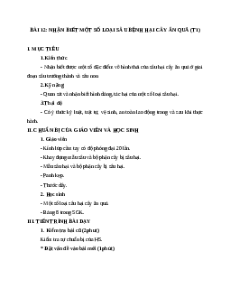 GIÁO ÁN CÔNG NGHỆ 9 BÀI 12: NHẬN BIẾT MỘT SỐ LOẠI SÂU BỆNH HẠI CÂY ĂN QUẢ (T1) MỚI NHẤT - CV5555