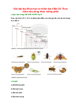 Dựa vào hình 23.1, 23.2 và bảng đặc điểm, em hãy gọi tên các bộ côn trùng