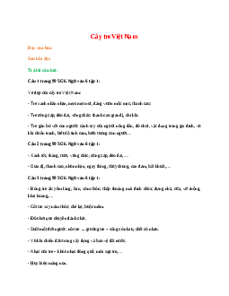 Soạn bài Cây tre Việt Nam – ngắn nhất Kết nối tri thức