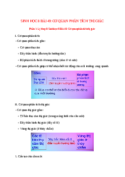 Lý thuyết Sinh học 8 Bài 49 (mới 2023 + 11 câu trắc nghiệm): Cơ quan phân tích thị giác