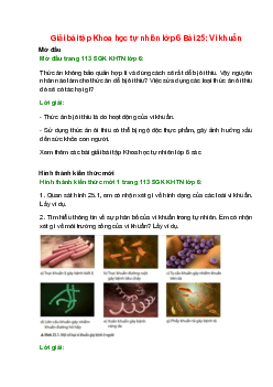 Giải SGK Khoa học tự nhiên lớp 6 Bài 25 (Chân trời sáng tạo): Vi khuẩn