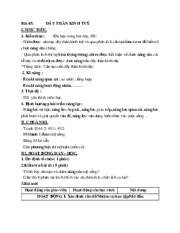 Giáo án Sinh học 8 Bài 45: Dây thần kinh tủy mới nhất - CV5512