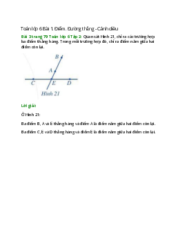 Bài 3 trang 79 Toán 6 Tập 2 | Cánh diều Giải toán lớp 6