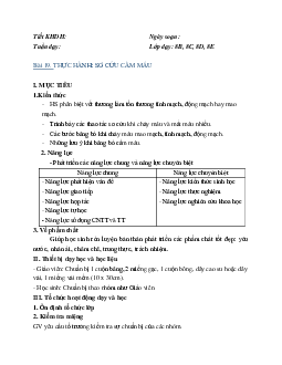 Giáo án Sinh học 8 Bài 19: Thực hành: Sơ cứu cầm máu mới nhất - CV5512