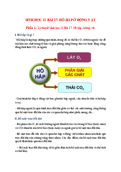 Lý thuyết Sinh học 11 Bài 17 (mới 2023 + 77 câu trắc nghiệm): Hô hấp ở động vật