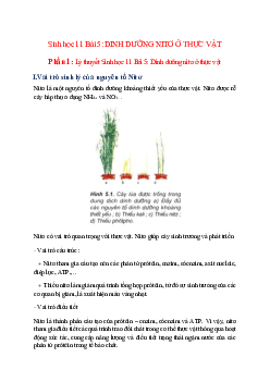 Sinh học 11 Bài 5: Dinh dưỡng nitơ ở thực vật