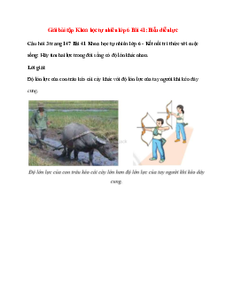 Hãy tìm hai lực trong đời sống có độ lớn khác nhau