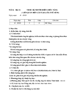 Giáo án Sinh học 8 Bài 44: Thực hành: Tìm hiểu chức năng(liên quan đến cấu tạo) của tủy sống mới nhất