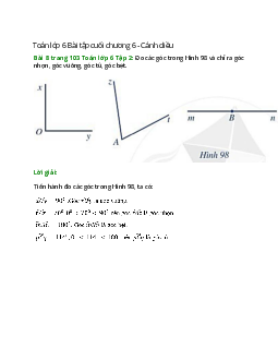 Bài 8 trang 103 Toán 6 Tập 2 | Cánh diều Giải toán lớp 6