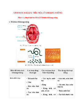 Lý thuyết Sinh học 8 Bài 25 (mới 2023 + 13 câu trắc nghiệm): Tiêu hóa ở khoang miệng