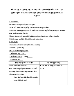 Giáo án Công Nghệ 7 Bài 36: Thực hành nhận biết và chọn một số giống lợn (heo) qua quan sát ngoại hình và đo kích th­ước các chiều mới nhất
