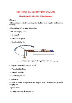 Lý thuyết Sinh học 8 Bài 10 (mới 2023 + 29 câu trắc nghiệm): Hoạt động của cơ