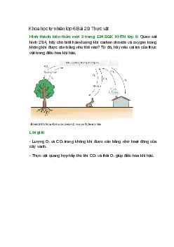 Quan sát hình 29.4, hãy cho biết hàm lượng khí carbon dioxide và oxygen