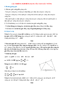 Các trường hợp đồng dạng của tam giác vuông