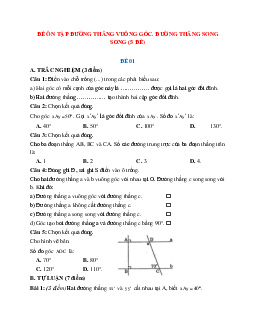 Đề ôn tập đường thẳng vuông góc, đường thẳng song song (5 đề)