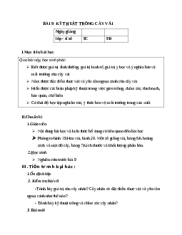 GIÁO ÁN CÔNG NGHỆ 9 BÀI 9: KỸ THUẬT TRỒNG CÂY VẢI MỚI NHẤT