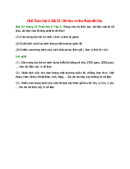 Bài 9.1 trang 72 Toán 6 Tập 2 | Kết nối tri thức Giải toán lớp 6