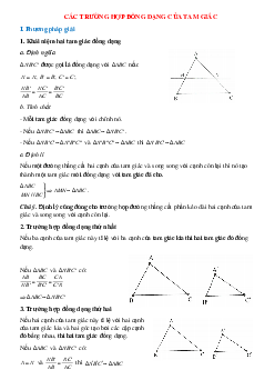 Các trường hợp đồng dạng của tam giác