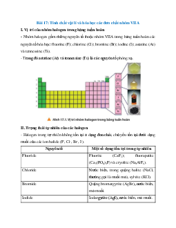 Lý thuyết Tính chất vật lí và hóa học các đơn chất nhóm VIIA (Chân trời sáng tạo 2024) hay, chi tiết | Hóa học 10
