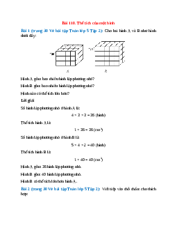 Vở bài tập Toán lớp 5 Tập 2 trang 30, 31 Bài 110: Thể tích của một hình