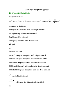 Toán lớp 5 trang 119 Luyện tập