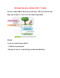 Quan sát hình 27.3, nêu vai trò của vi khuẩn trong tự nhiên