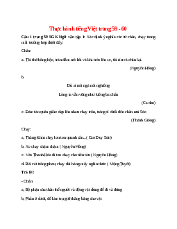 Soạn bài Thực hành tiếng Việt trang 59 - 60 – ngắn nhất Cánh diều
