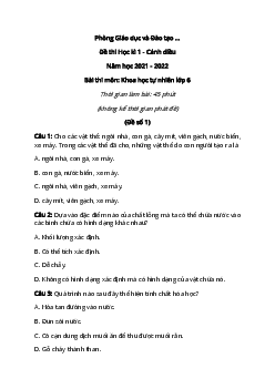 [Năm 2024] Đề thi Học kì 1 Khoa học tự nhiên lớp 6 có đáp án (3 đề) - Cánh diều