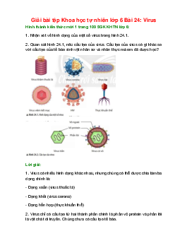 Nhận xét về hình dạng của một số virus trong hình 24.1