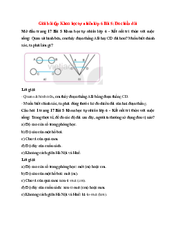 Giải SGK Khoa học tự nhiên 6 Bài 5 (Kết nối tri thức): Đo chiều dài