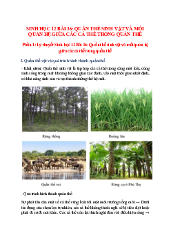 Lý thuyết Sinh học 12 Bài 36 (mới 2023 + 28 câu trắc nghiệm): Quần thể sinh vật và mối quan hệ giữa các cá thể trong quần thể