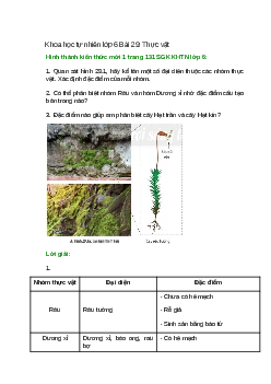 Quan sát hình 29.1, hãy kể tên một số đại diện thuộc các nhóm thực vật