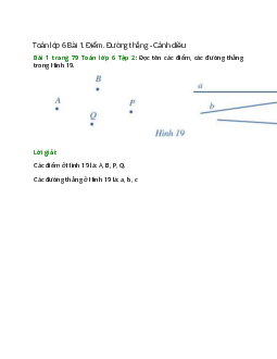 Bài 1 trang 79 Toán 6 Tập 2 | Cánh diều Giải toán lớp 6