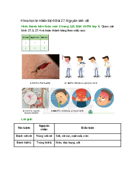 Quan sát hình 27.3, 27.4 và hoàn thành bảng theo mẫu sau