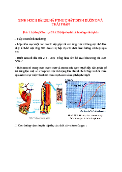 Lý thuyết Sinh học 8 Bài 29 (mới 2023 + 10 câu trắc nghiệm): Hấp thụ chất dinh dưỡng và thải phân