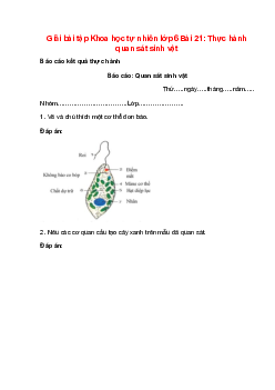 Giải SGK Khoa học tự nhiên lớp 6 Bài 21 (Chân trời sáng tạo): Thực hành quan sát sinh vật