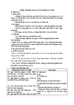 Giáo án Sinh học 8 Bài 5: Thực hành: Quan sát tế bào và mô mới, chuẩn nhất