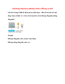 Quan sát hình 16.1 và hãy chỉ ra loại nước nào là hỗn hợp đồng nhất, không đồng nhất