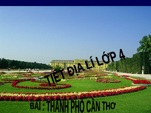 Giáo án Địa lý lớp 4 Bài 22: Thành phố Cần Thơ