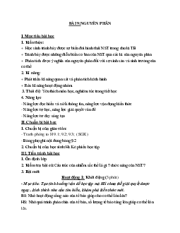 Giáo án Sinh học 9 Bài 9: Nguyên phân mới nhất - CV5512