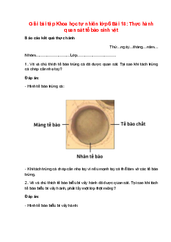 Giải SGK Khoa học tự nhiên lớp 6 Bài 18 (Chân trời sáng tạo): Thực hành quan sát tế bào sinh vật