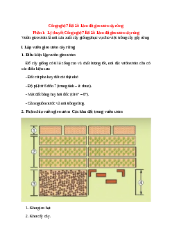 Công nghệ 7 Bài 23 (Lý thuyết và trắc nghiệm): Làm đất gieo ươm cây rừng