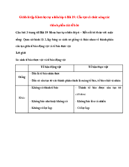 Quan sát hình 19.3, lập bảng so sánh sự giống và khác nhau về thành phần cấu tạo