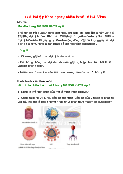 Giải SGK Khoa học tự nhiên lớp 6 Bài 24 (Chân trời sáng tạo): Virus