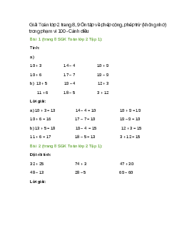 Giải SGK Toán lớp 2 Tập 1 trang 8, 9 (Cánh diều): Ôn tập về phép cộng, phép trừ (không nhớ) trong phạm vi 100