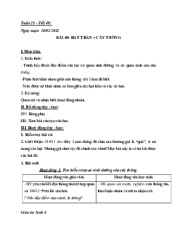 Giáo án Sinh học 6 Bài 40: Hạt trần - Cây thông mới nhất - CV5512